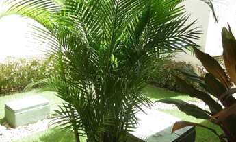 Imagem 2: Www.imobiliariazemaria.com.br, Vender, comprar, alugar, Recife, loteamento, Alphaville Per