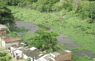 Imagem 4: Imperdível: Apartamento de luxo à venda em Apipucos, Recife-PE - 4 quartos, 4 suítes, 3 sa