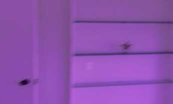 Imagem 4: Imobiliária Digital, Vender, Comprar, Alugar, Apartamento, Recife, Alphaville Pernambuco 2