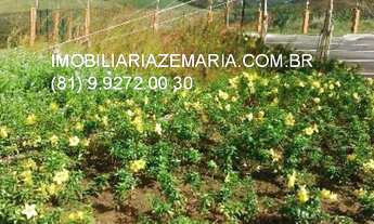 Imagem 3: Terreno de 800m² em condomínio de luxo em Vargem Fria, Jaboatão dos Guararapes-PE ALPHAVI