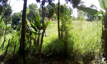 Imagem: CHACARA RURAL em ITAPEVI - SP, SABIÁ