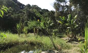 Imagem: EXCELENTE TERRENO PARA FORMAR SUA CHÁCARA