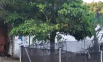 Imagem 5: Esta incrível chácara conta com tudo o que você precisa para viver com conforto e qualidad