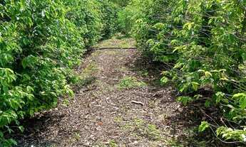 Imagem 6: Um lugar perfeito para descansar, reunir a família e viver em harmonia com a natureza. Não