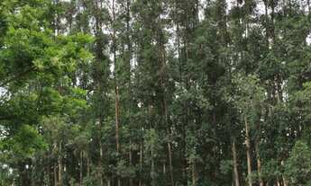 Imagem 3: Um lugar perfeito para descansar, reunir a família e viver em harmonia com a natureza. Não