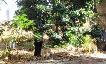 Imagem: Com uma localização estratégica, este