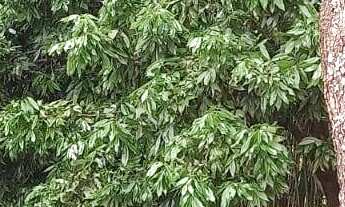 Imagem 6: Imperdível Residência de Luxo com 4 Quartos, 4 Suítes e 2 Vagas de Garagem em Jundiaí-SP