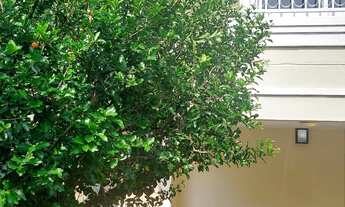 Imagem: Imperdível oportunidade Casa à venda