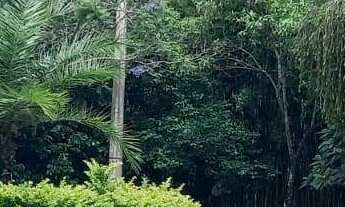 Imagem 5: Imperdível Residência de Luxo com 4 Quartos, 4 Suítes e 2 Vagas de Garagem em Jundiaí-SP