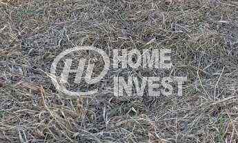 Imagem: Terreno à venda em Itupeva-SP, no Jardim