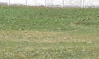 Imagem: Terreno à venda no Centro (Jacaré) de