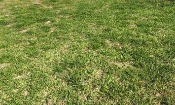 Imagem 3: Terreno à venda em Jundiaí-SP, bairro Jardim Novo Mundo - 448m² de área!