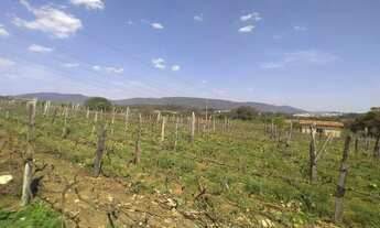 Imagem 2: Excelente oportunidade de investimento: Sítio à venda em Jundiaí-SP, bairro Medeiros, com