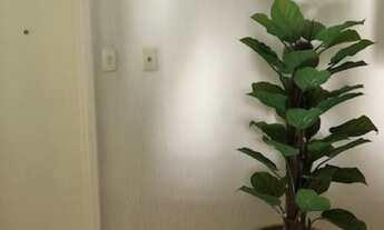 Imagem 3: 1 banheiros, 38M² de Área Construída