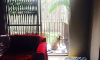 Imagem 5: 2 dormitórios, 1 vaga na garagem, 66M² de Área Construída