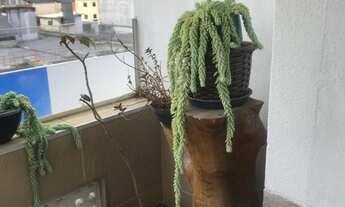 Imagem 4: APARTAMENTO RESIDENCIAL em SÃO PAULO - SP, CAMPOS ELÍSEOS