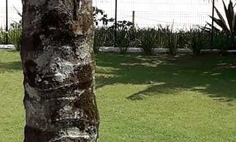 Imagem 7: CASA PÉ NA AREIA EM MARESIAS PARA ATÉ 10 PESSOAS COM 4 DORMS. SENDO 2 SUÍTES