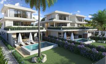 Imagem: PAÚBA - PÉ NA AREIA