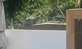 Imagem 2: CASA 4 DORMS. SENDO 2 SUÍTES PARA ATÉ 12 PESSOAS COM PISCINA (11) 9-9194-5074 WhatsApp. 24