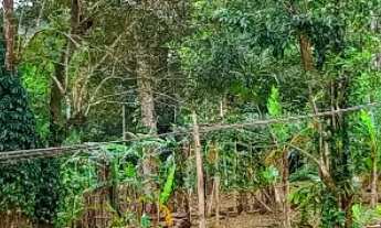 Imagem: R$ 649.000,00 - TERRENO A VENDA COM 3000M²