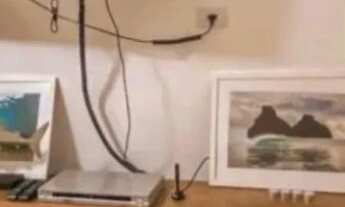 Imagem 7: LOCAÇÃO ANUAL - CONDOMÍNIO MATA AZUL