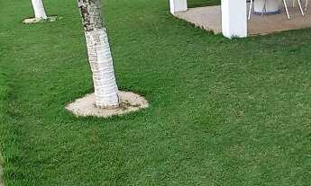 Imagem 7: PÉ NA AREIA - ESPAÇO PARA CASAMENTO, EVENTOS, COMEMORAÇÃO E HOSPEDARIA (11) 9-9194-5074 Wh