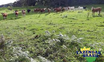 Imagem 4: Sitio 100,00 HA em Ponte Alta- SC