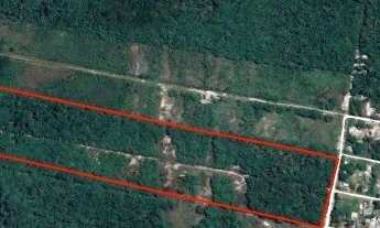 Imagem 2: Sitio no município de Guaratuba com 10 alqueires é na Fazendas Brasil!!