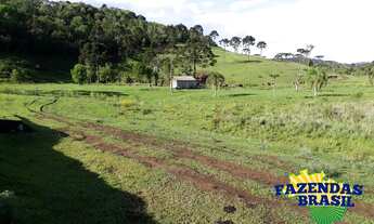 Imagem 2: Sitio 100,00 HA em Ponte Alta- SC