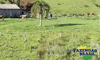 Imagem: Sitio 100,00 HA em Ponte Alta- SC