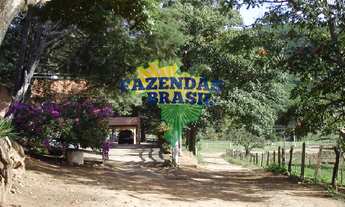 Imagem 5: Fazenda em Cambuquira/MG com 101 hectares: Café, Gado para Corte, Leite á venda