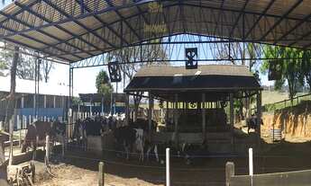 Imagem: SÍTIO À VENDA PARA GADO EM BRAGANÇA PAULISTA