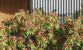 Imagem 7: LANÇAMENTO TERRENO CONDOMÍNIO INNOVARE BRAGANÇA PAULISTA