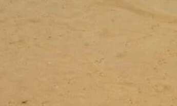 Imagem 4: LINDO HARAS NO BAIRRO DA USINA EM BRAGANCA PAULISTA SP