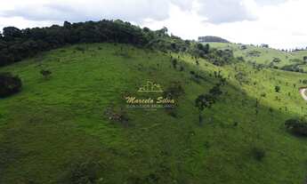 Imagem 4: ÁREA 41 ALQUEIRES COM ACESSO PARA REPRESA