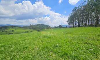 Imagem 5: ÁREA 41 ALQUEIRES COM ACESSO PARA REPRESA