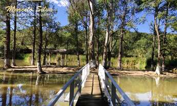 Imagem 5: SITIO COM LAGO , PISCINA , CASA TERREA BRAGANÇA PAULISTA