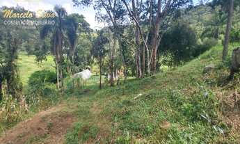 Imagem 3: SENSACIONAL SITIO REGIÃO JOANOPOLIS COM LAZER