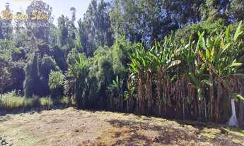 Imagem 7: SITIO 34.000 m² 6 KM CENTRO BRAGANÇA PAULISTA