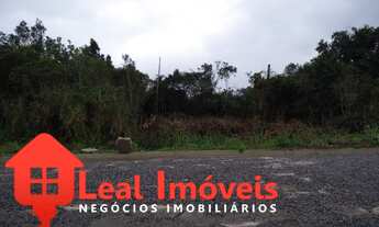 Imagem 3: TERRENO RESIDENCIAL em Peruíbe - SP, Jardim Marcia