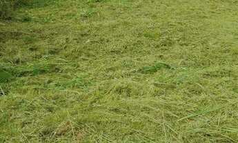 Imagem 2: TERRENO RESIDENCIAL em Peruíbe - SP, São João Batista 3