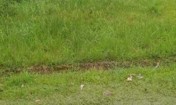 Imagem 5: TERRENO RESIDENCIAL em Peruíbe - SP, São João Batista 3