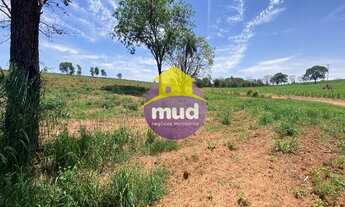 Imagem 2: IMOBILIÁRIA MUD RIO PRETO VENDE CHÁCARA DE 02 ALQUEIRES NO DISTRITO DE TALHADOS