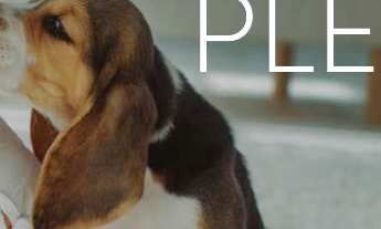 Imagem 4: Apartamentos do FULL BUENO: Uma Sintonia de Luxo, Conforto e Inovação no Coração de Goiâni