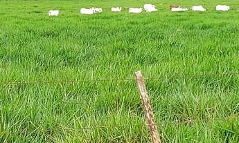 Imagem 3: Dupla Aptidão: Pecuária e Agricultura em Fazenda Completa