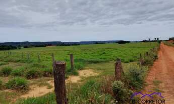 Imagem 4: Dupla Aptidão: Pecuária e Agricultura em Fazenda Completa