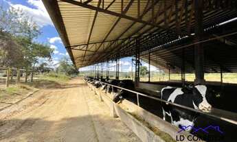 Imagem: Fazenda 3 Poderes Paraíso Rural a 1.7