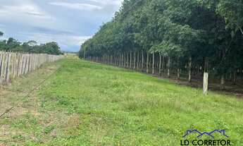 Imagem 7: Investimento Estratégico: Fazenda com 4700 hectares de Soja