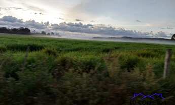 Imagem 6: Dupla Aptidão: Pecuária e Agricultura em Fazenda Completa