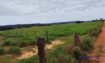 Imagem 5: Dupla Aptidão: Pecuária e Agricultura em Fazenda Completa
